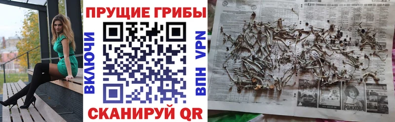 Псилоцибиновые грибы прущие грибы Саяногорск
