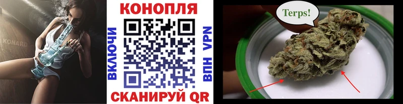 как найти наркотики  Саяногорск  Бошки Шишки сатива 